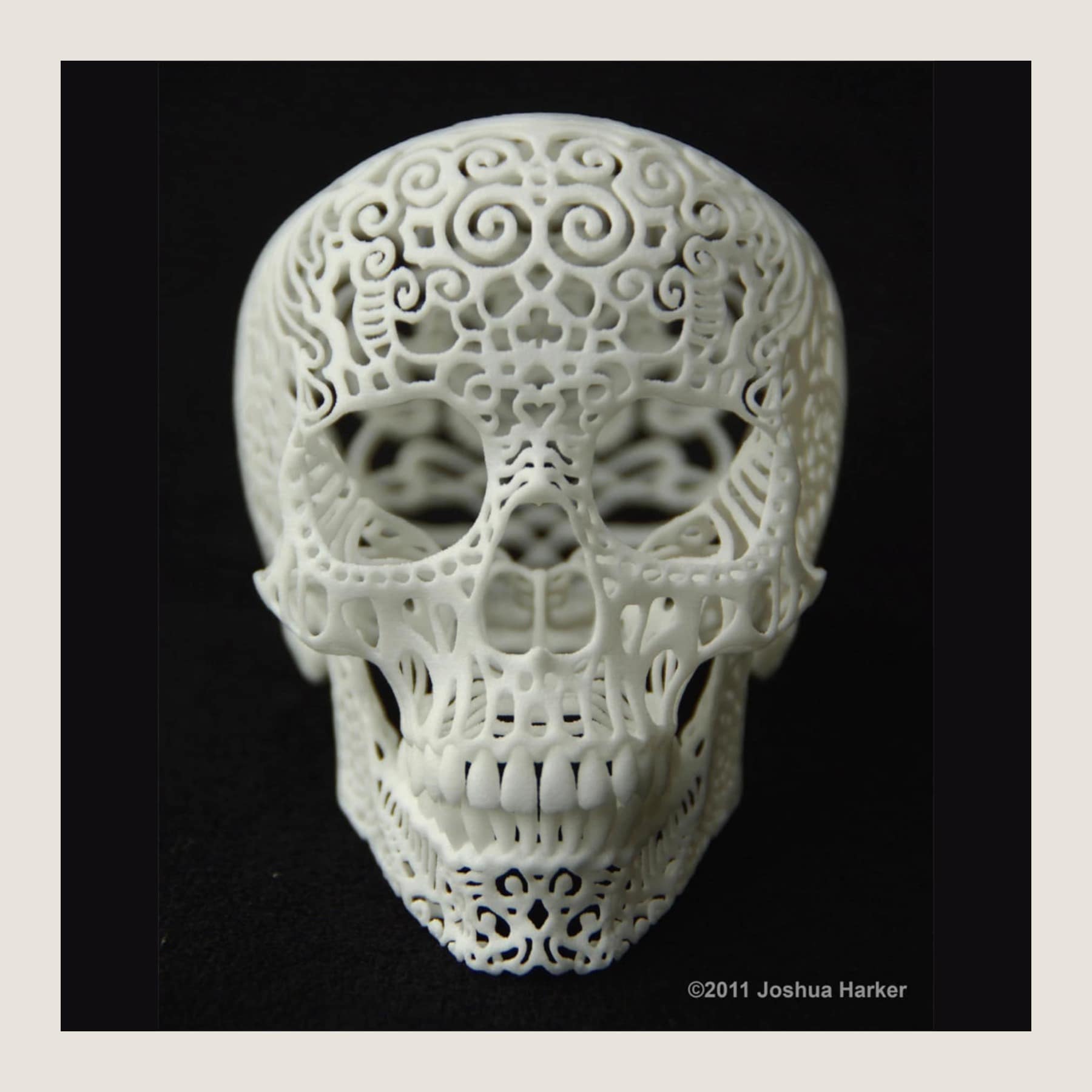 White 3D printed filigree skull by Joshua Harker, patterned with scrolls and holes, on a black background