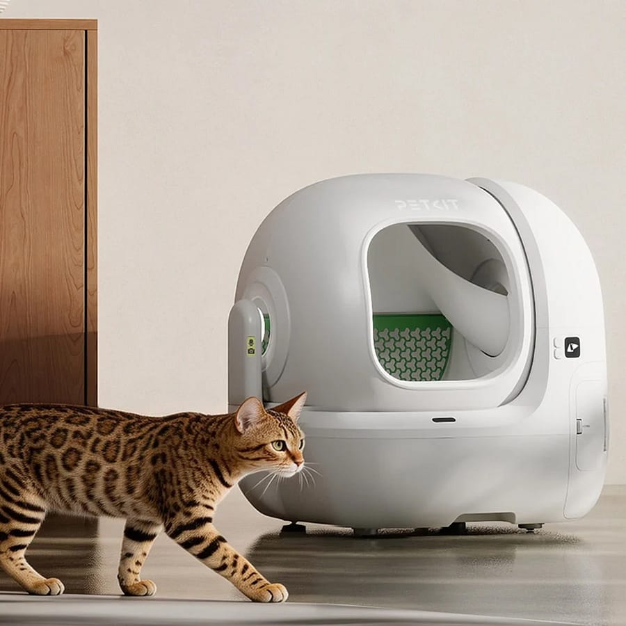 PETKIT Purobot Max 3 automatic cat litter tray with a Bengal cat alongside