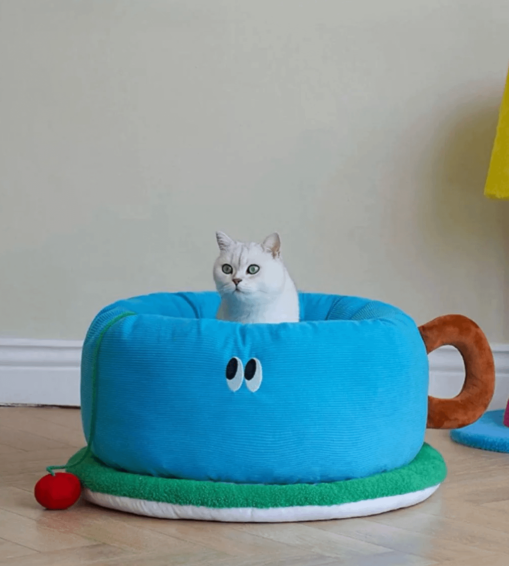 White cat sitting in a blue teacup-shaped pet bed from Pets Villa