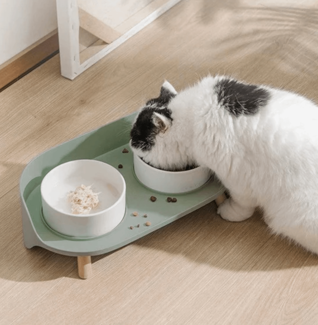 White cat eating from a green double bowl set with raised non-slip base
