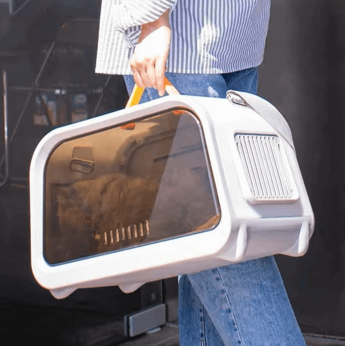 Person carrying a portable cat carrier with clear window from Pets Villa