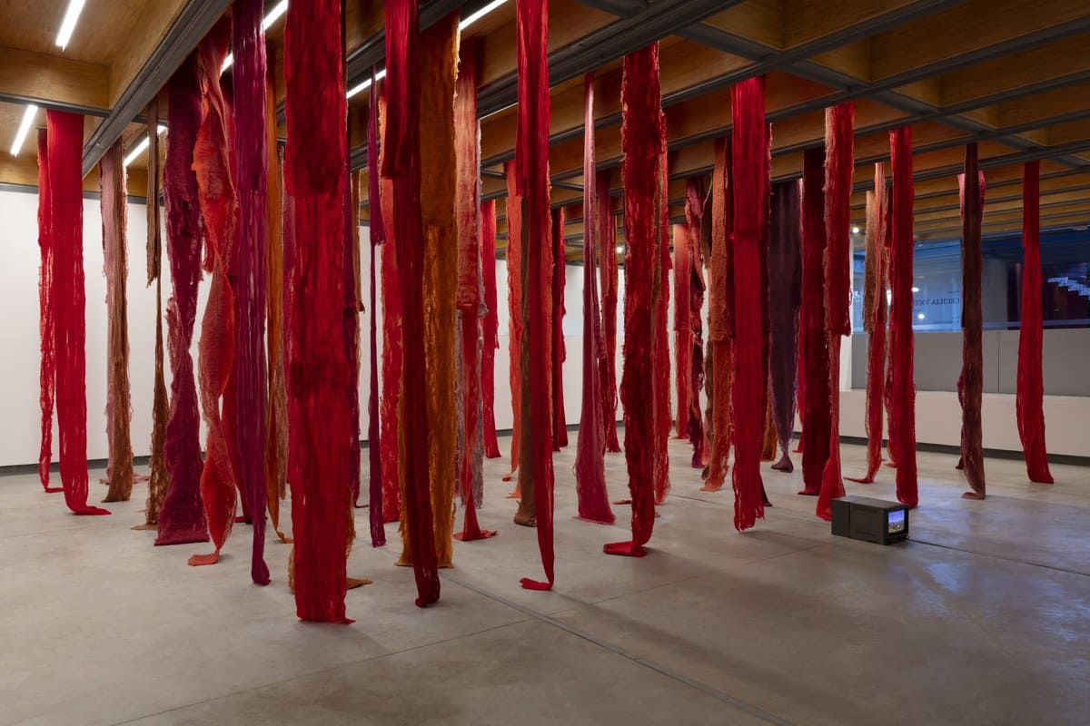 Long strands of unspun red and brown wool hanging from a gallery ceiling in Cecilia Vicuña's Quipu Menstrual