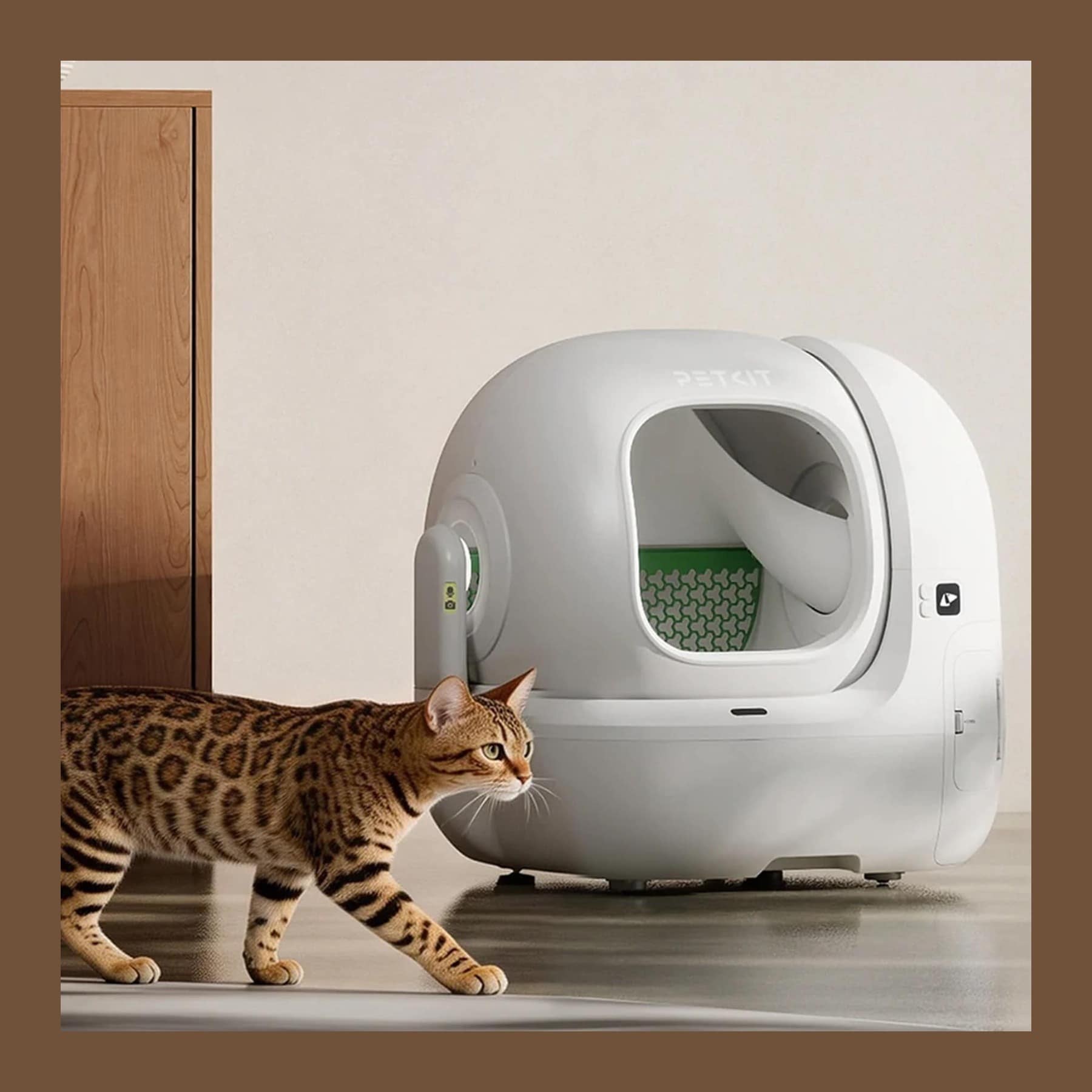 A Bengal cat walking past a white PETKIT Purobot Max 3 self-cleaning litter tray, inside a brown border.