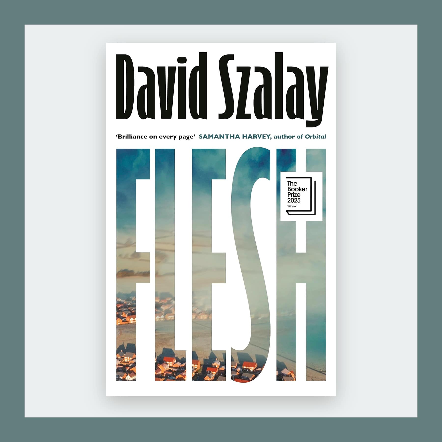 Cover of Flesh by David Szalay with the title cut out over a city view, in a grey-green frame
