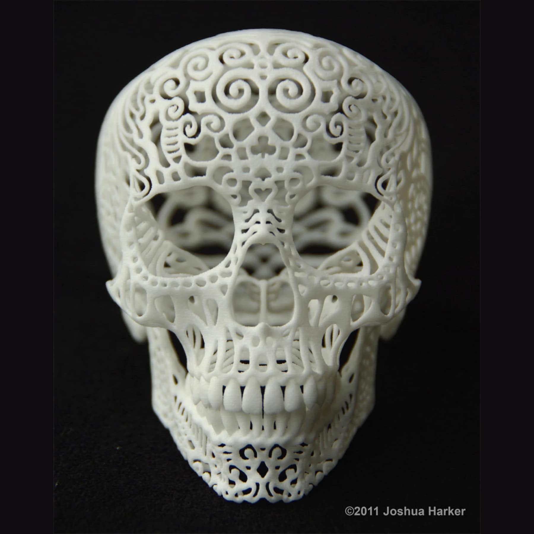 Crania Anatomica Filigre, an intricately designed 3D-printed skull sculpture by Joshua Harker. A stunning designer gift that blends art, technology, and innovation.