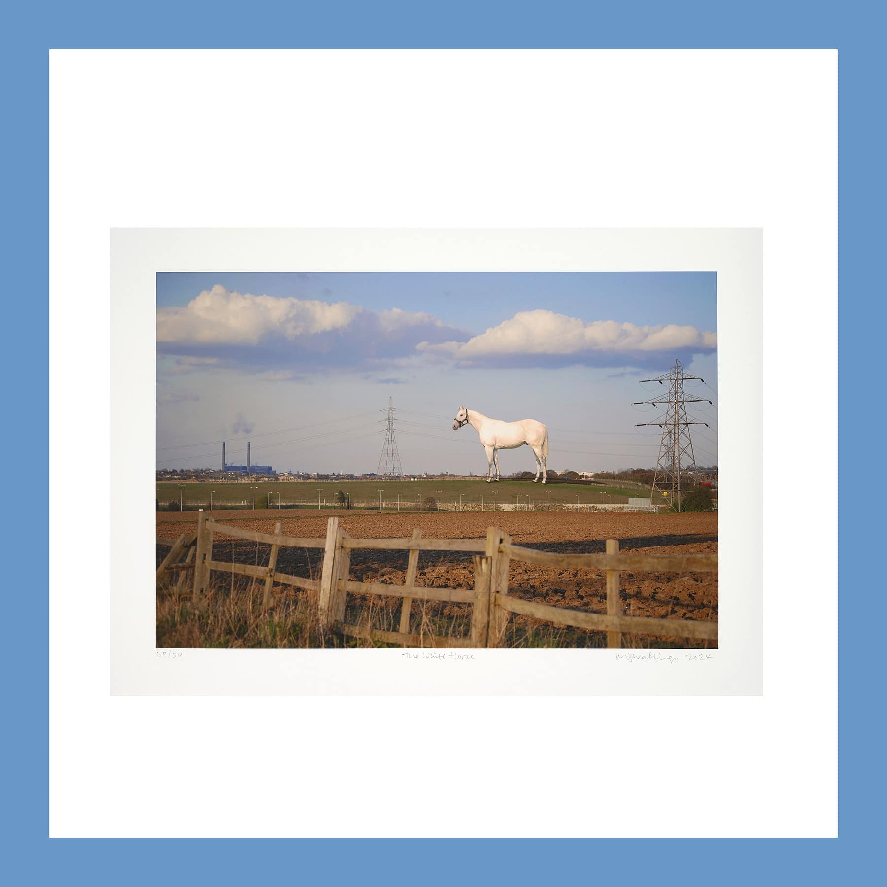 Mark Wallinger White Horse print of a white horse in a field between pylons behind a wooden fence