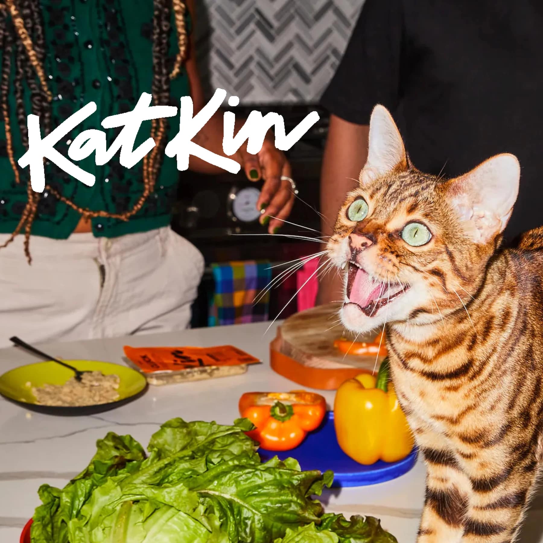 A happy Bengal cat standing on a kitchen counter near fresh vegetables and KatKin meals, showcasing the excitement of fresh, vet-approved cat food. Use our link to get 50% off your first order.