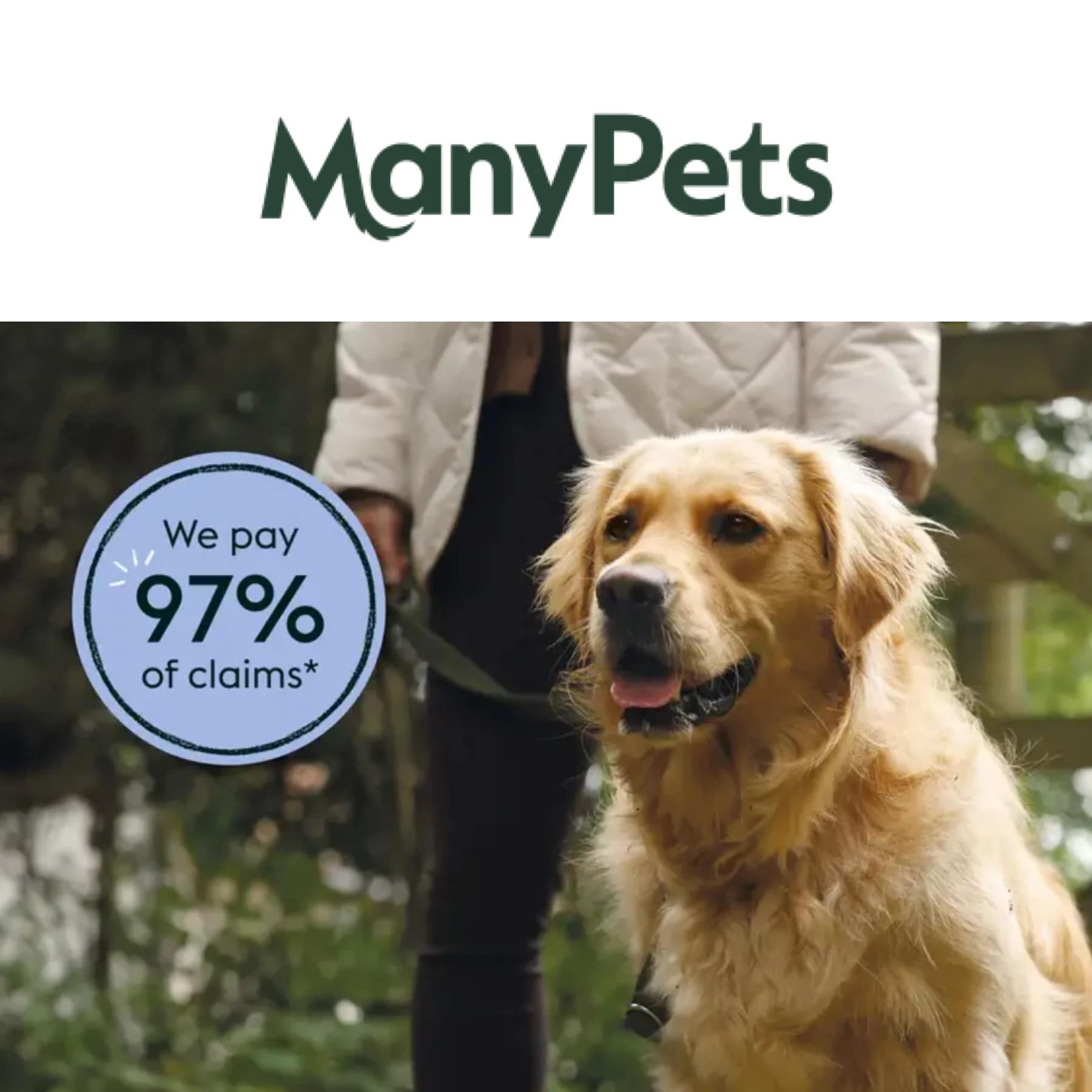 Golden retriever with owner promoting ManyPets pet insurance, highlighting that 97% of claims are paid.