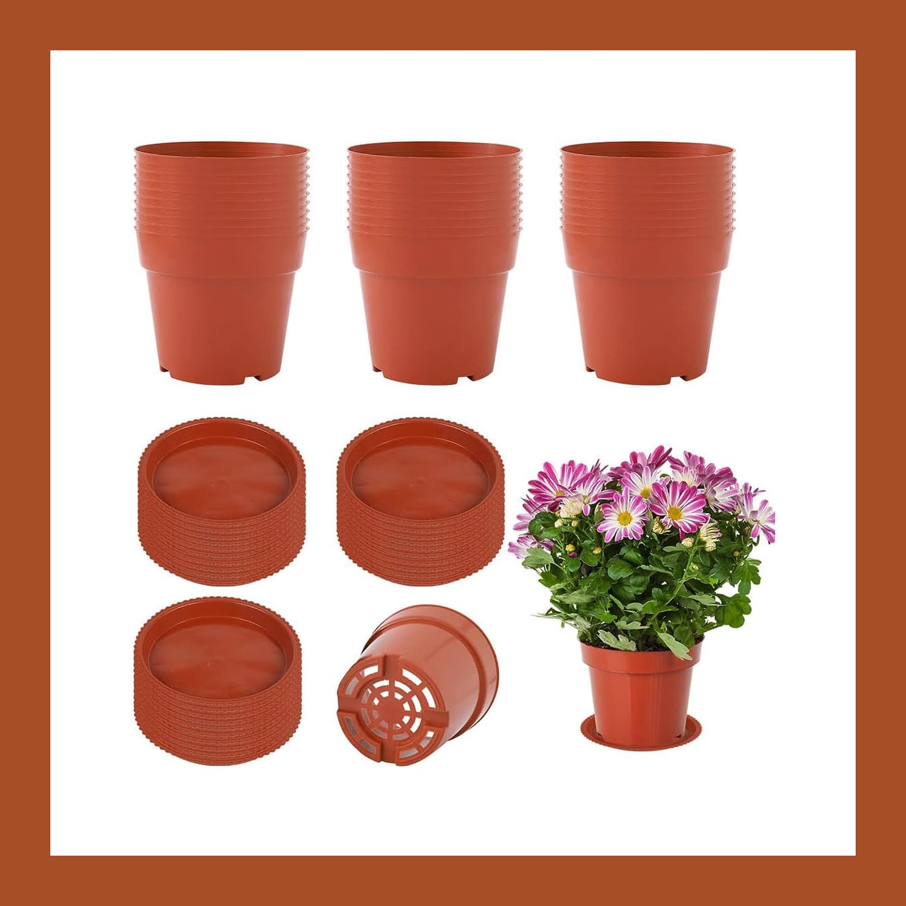 Thirty terracotta-coloured plastic nursery pots with matching saucers, one holding a flowering plant