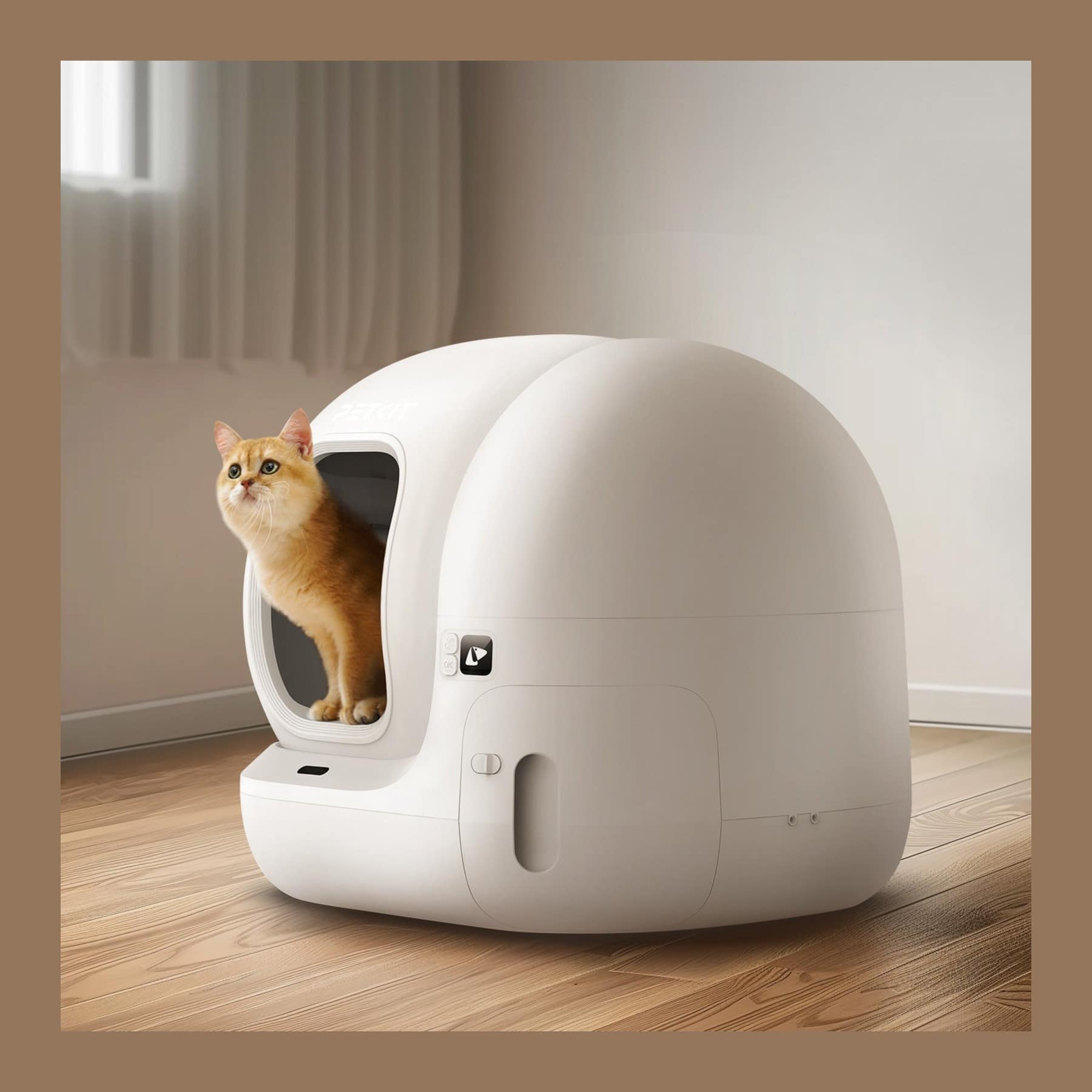 A ginger cat looking out of the entrance of a white PETKIT PuraMax 2 self-cleaning litter tray on a wooden floor, inside a brown border.