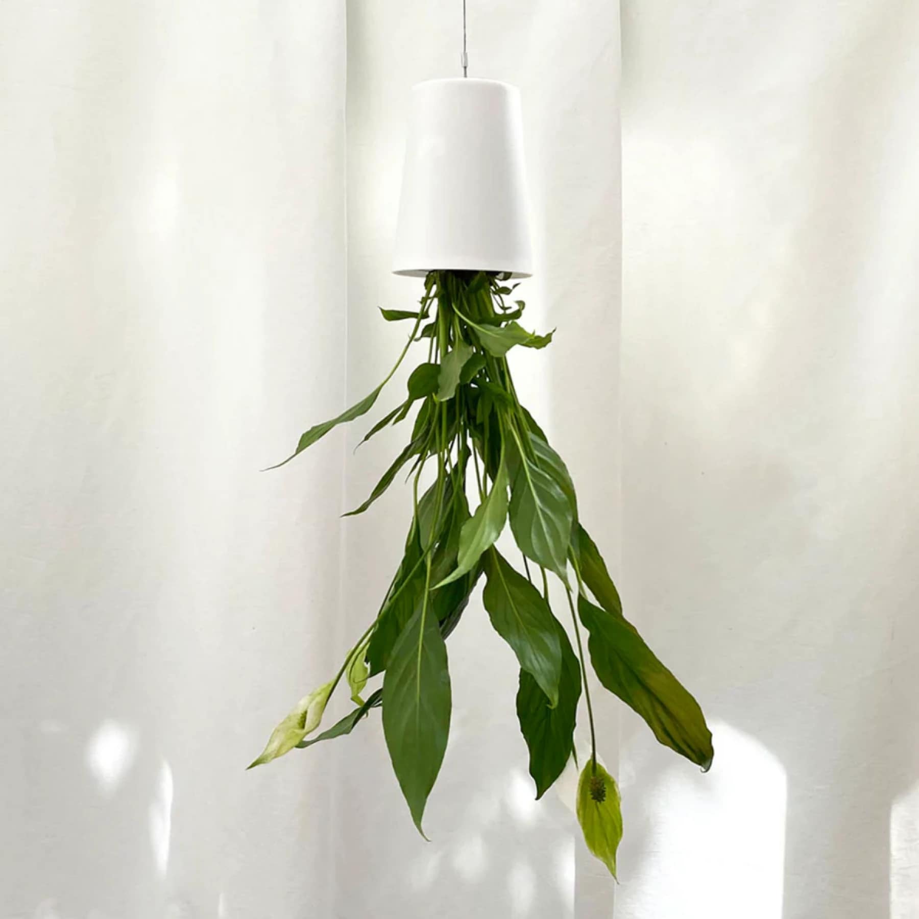 Boskke Sky Planter, Upside-Down Hanging Indoor Plant Pot