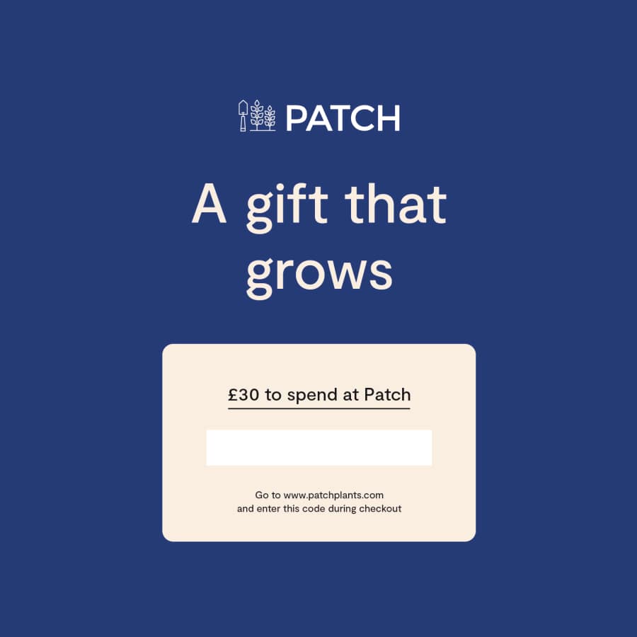 Patch Plants gift card, a flexible plant voucher for new UK homeowners