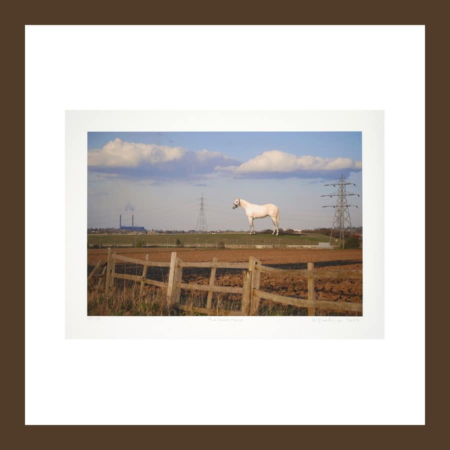 Mark Wallinger The White Horse print, a white horse standing in a field by a wooden fence with pylons behind