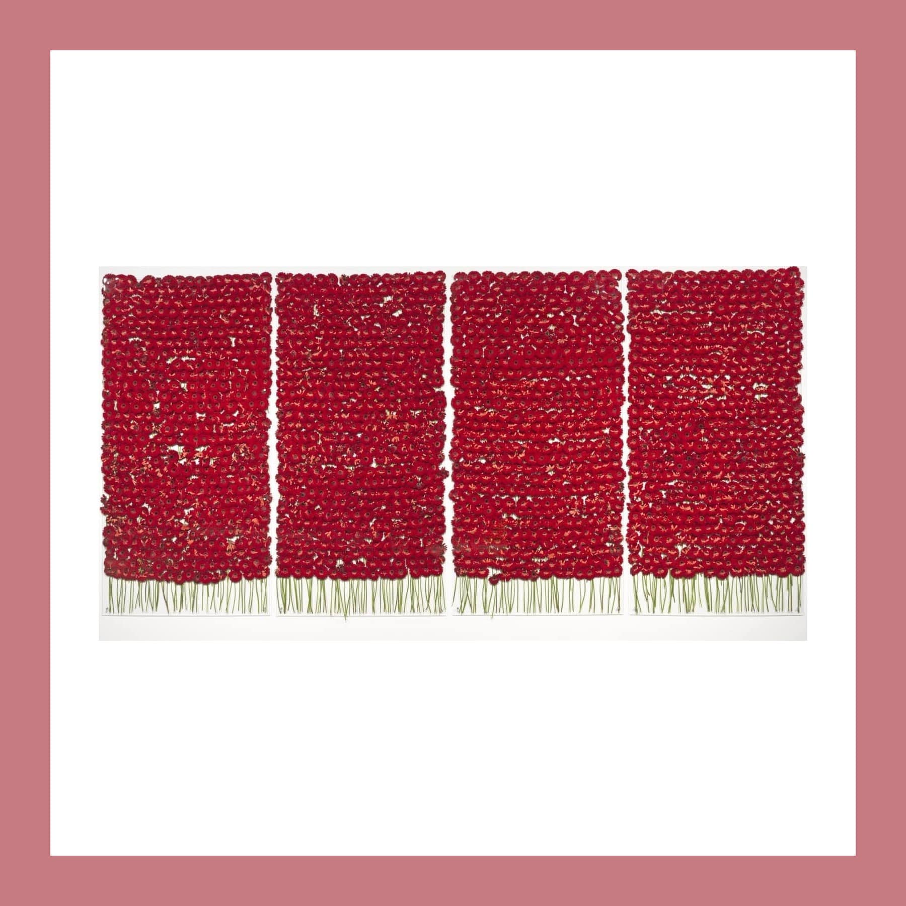 Four tall glass panels on a white wall, each packed with rows of red gerbera flowers