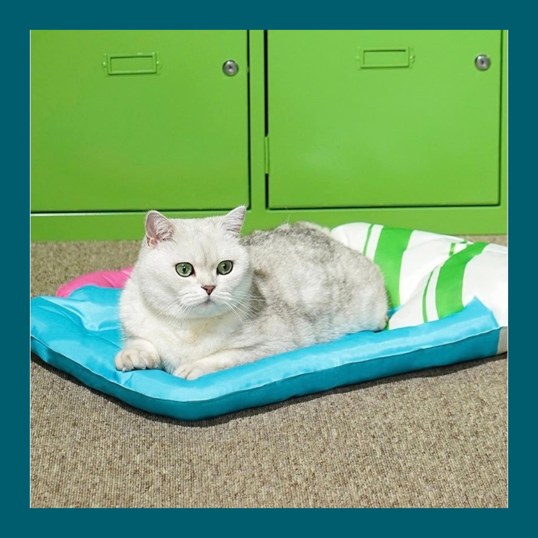 White cat lying on a blue ZEZE cooling mat shaped like a beer glass with a striped green foam top