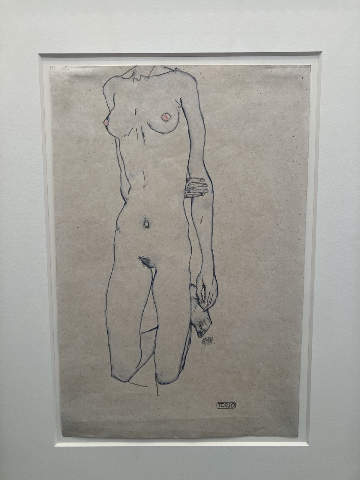 Egon Schiele line drawing of a nude female torso