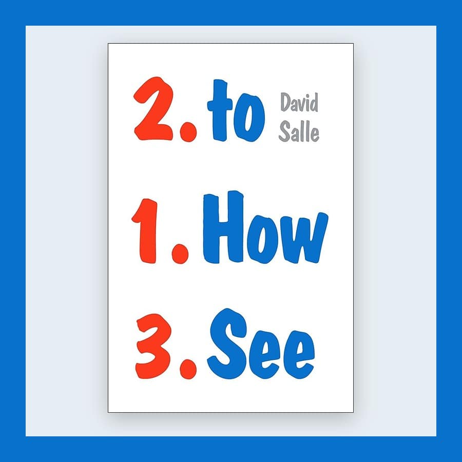 White cover of How to See by David Salle with red and blue lettering, in a blue frame
