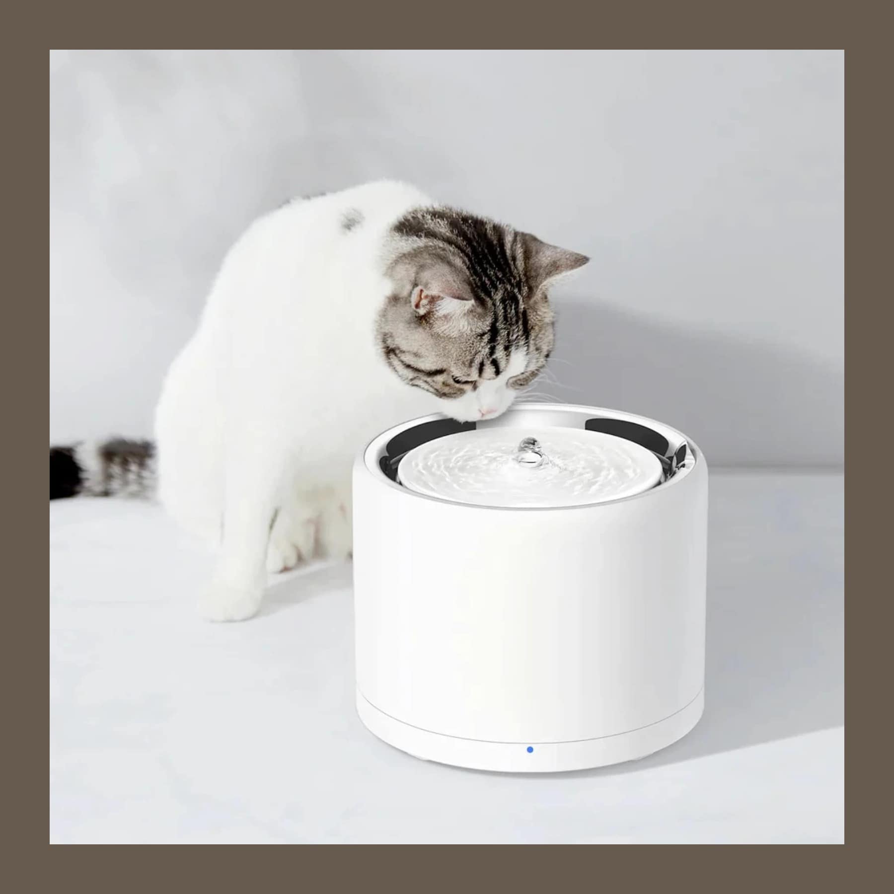 A tabby and white cat drinking from a white PETKIT Eversweet 3 Pro water fountain, inside a brown border.