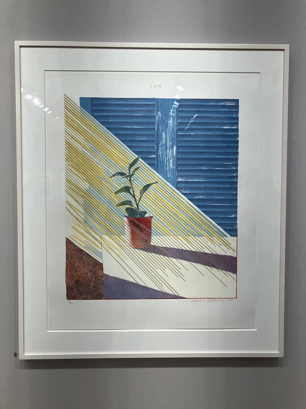 David Hockney lithograph Sun showing a potted plant on a sill in slanting yellow light before blue shutters
