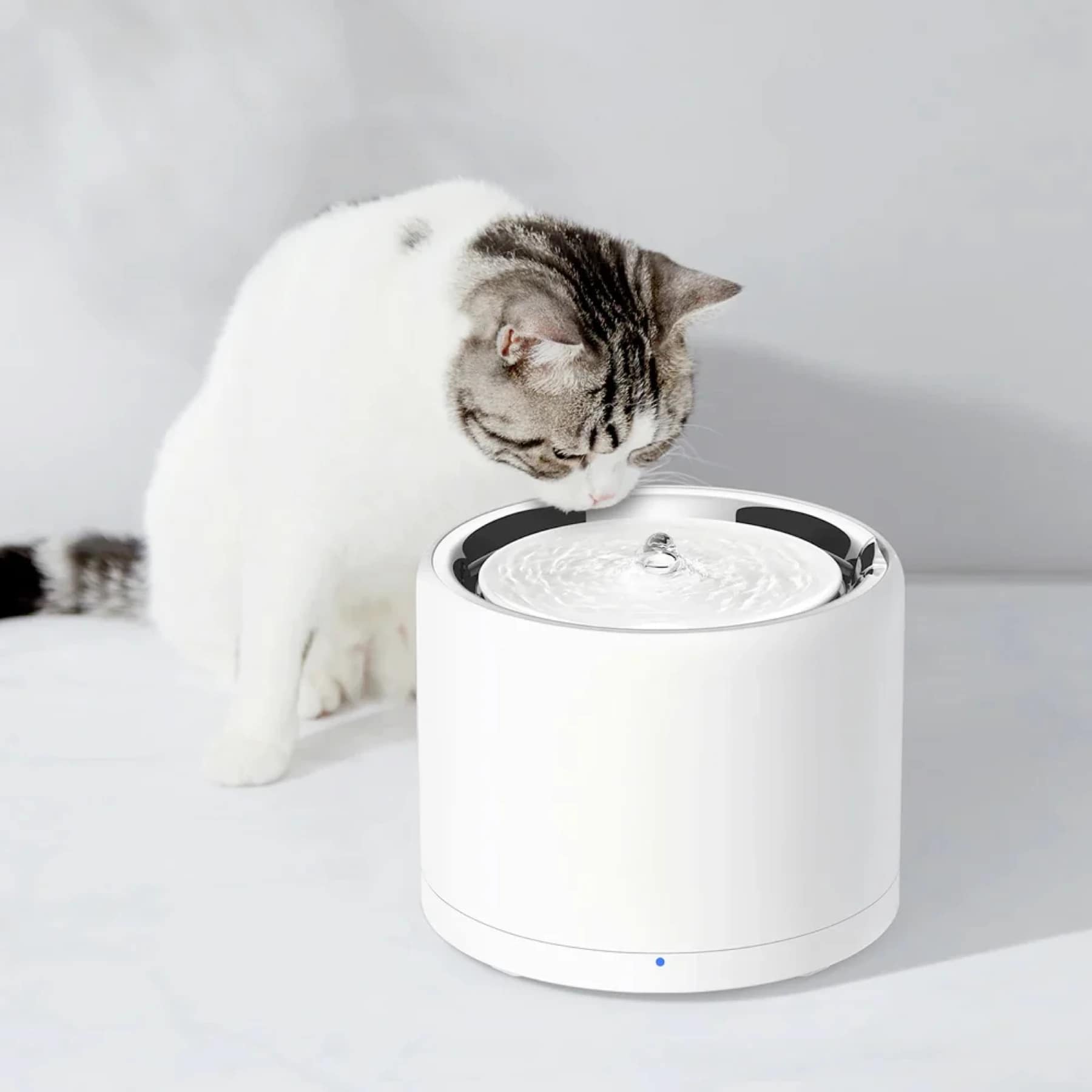 Cat drinking from PETKIT Eversweet 3 smart water fountain with filtered running water