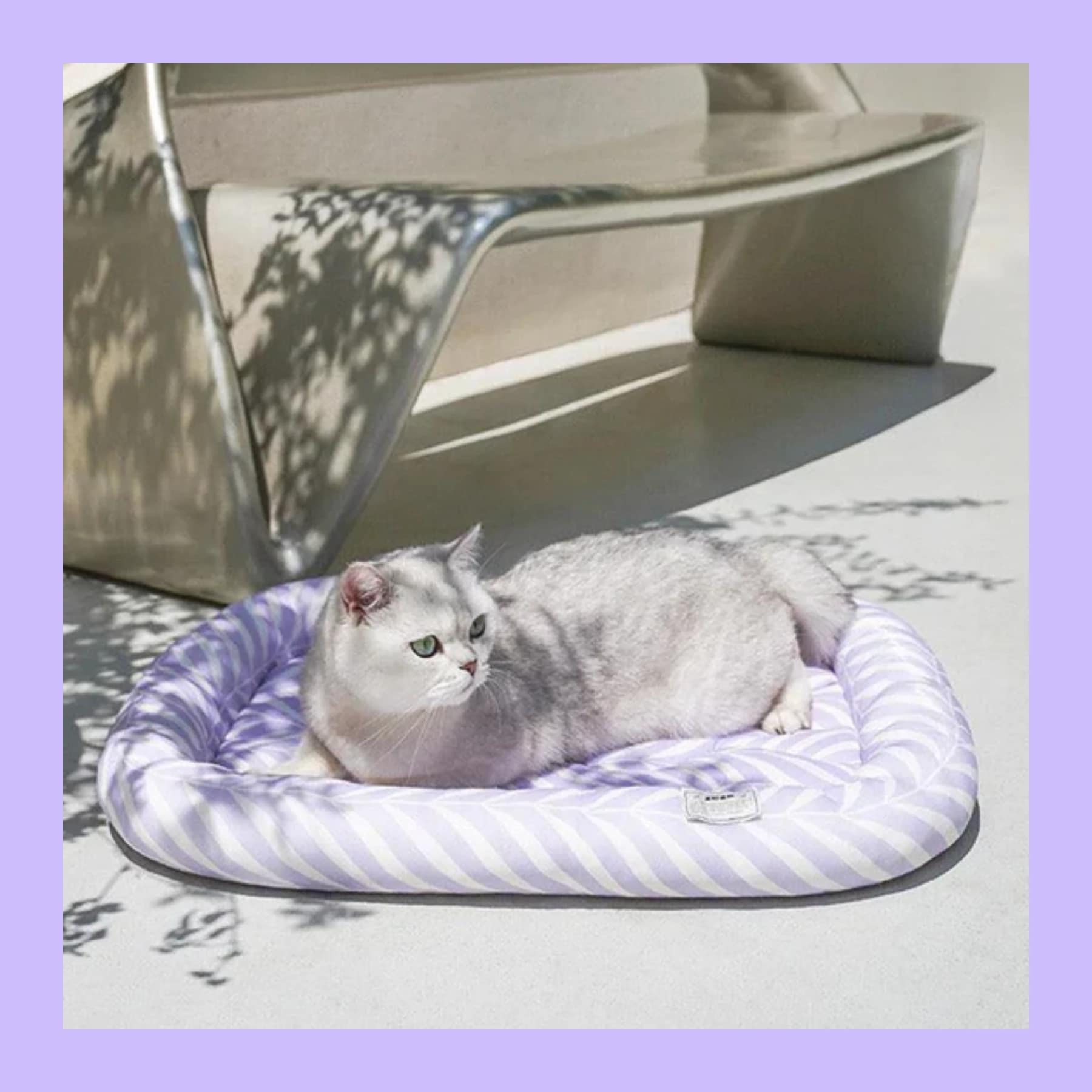 Silver cat lying on ZEZE Ice Silk Cool Bed with lilac pattern