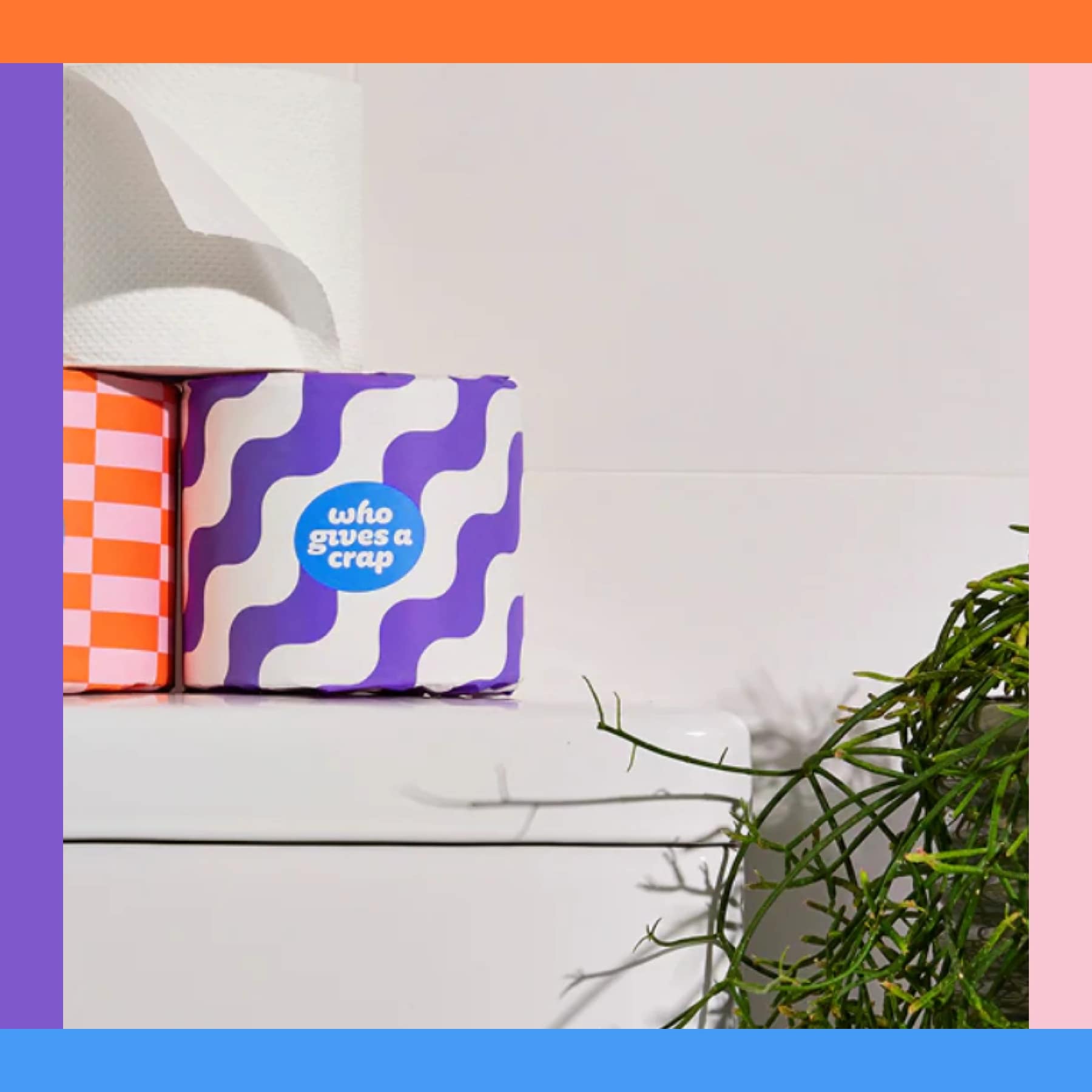 Eco-friendly Who Gives a Crap toilet paper rolls on a bathroom shelf with colourful packaging.
