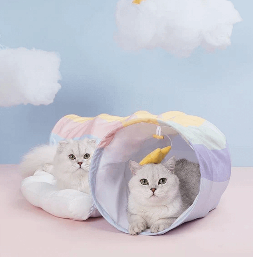 Two cats relaxing inside a pastel rainbow foldable cat cave bed with a tunnel-style design