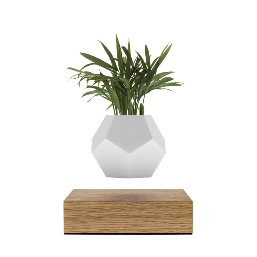 flyte planter floating