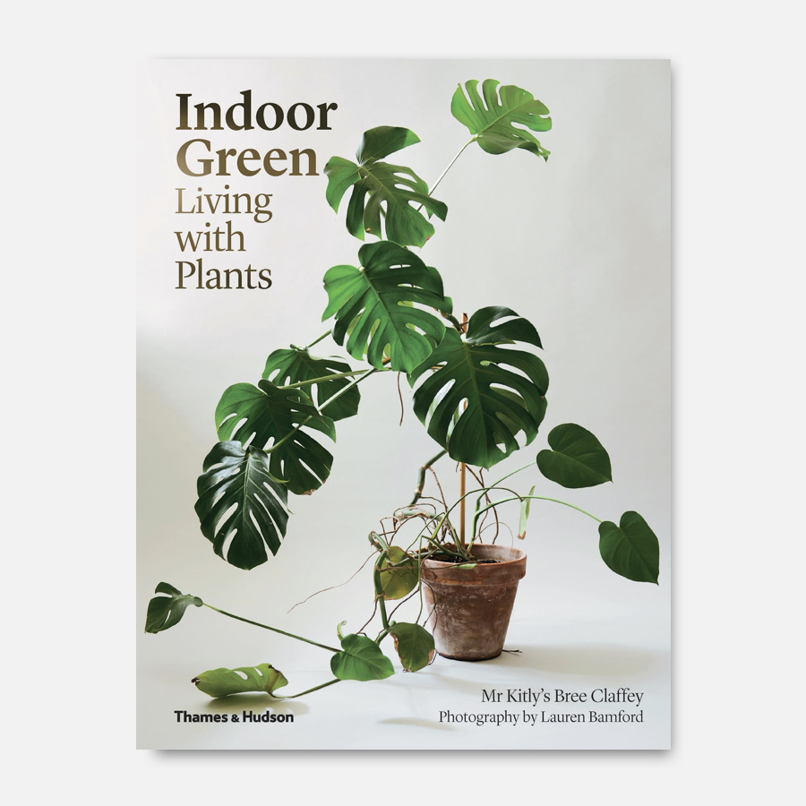 indoor green book cover