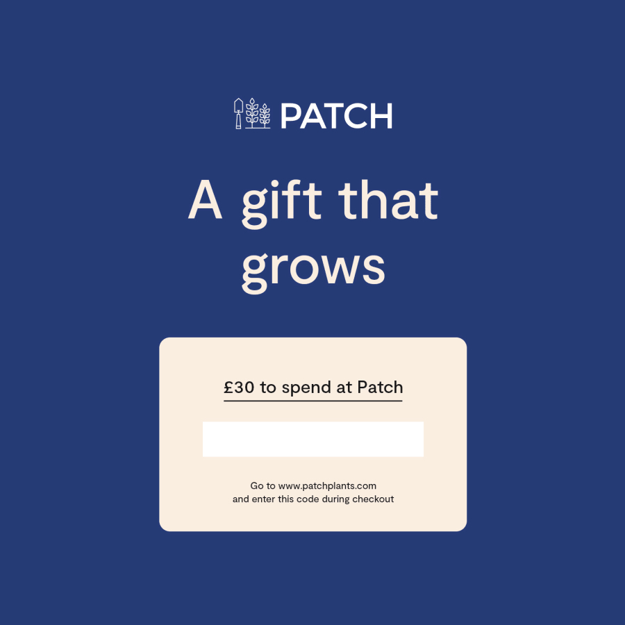 patch plants gift card for buying more plants online