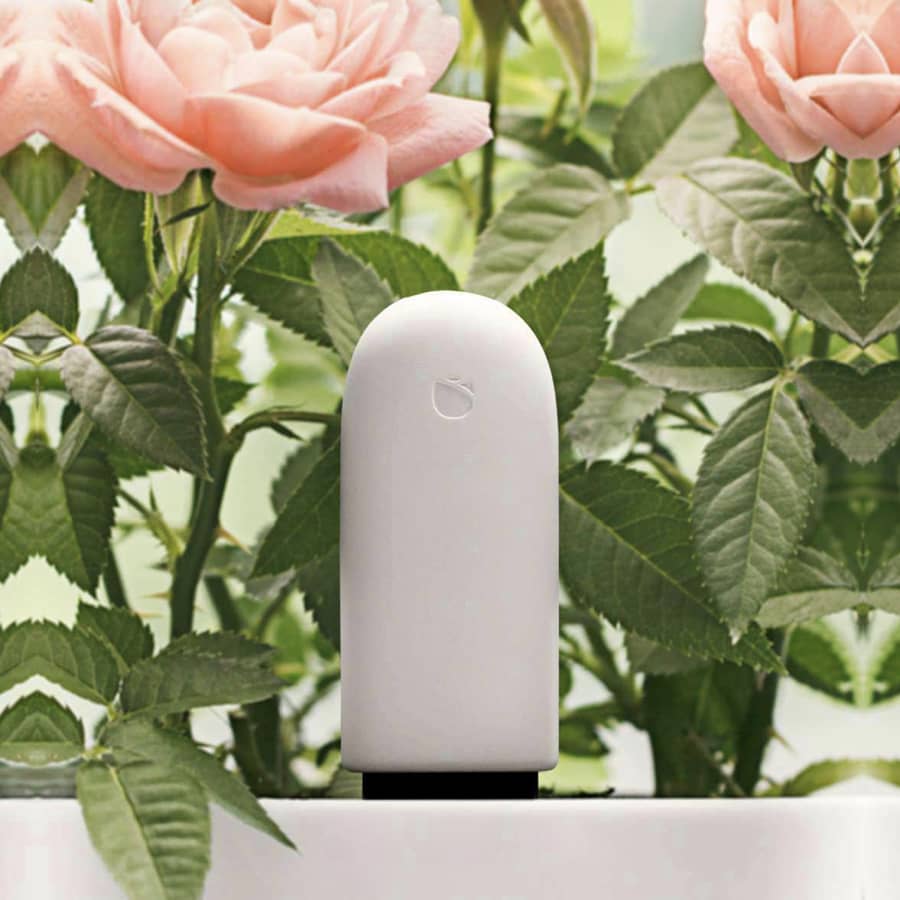 Mi Flora Xiaomi Flower care plant care sensor