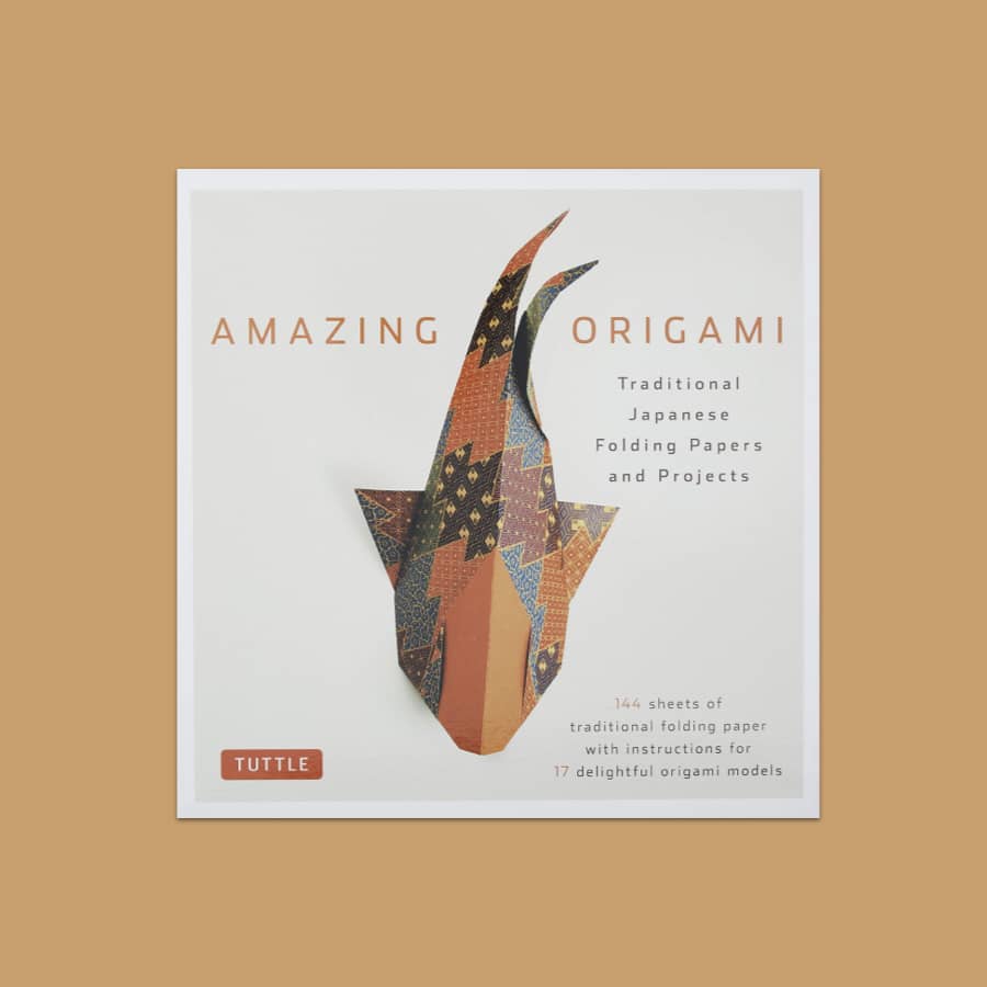 amazing origami book