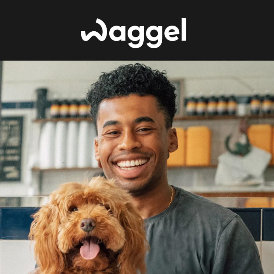 Waggel Pet Insurance: First month free