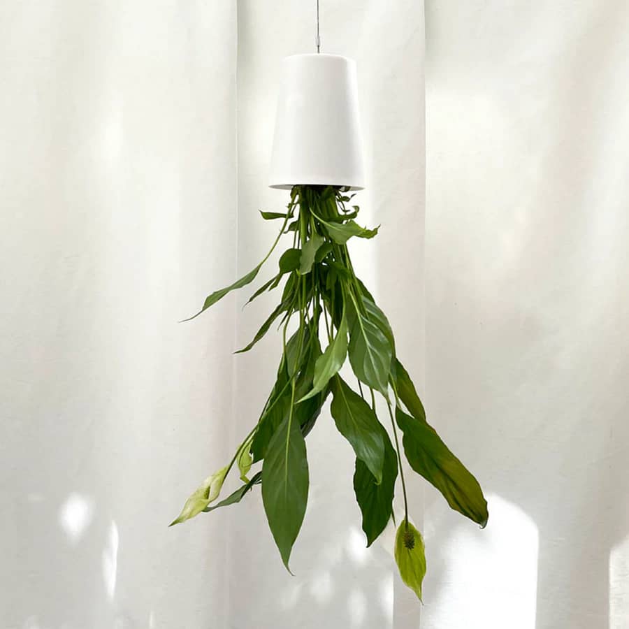 Boskke Sky Planter, Upside-Down Hanging Indoor Plant Pot