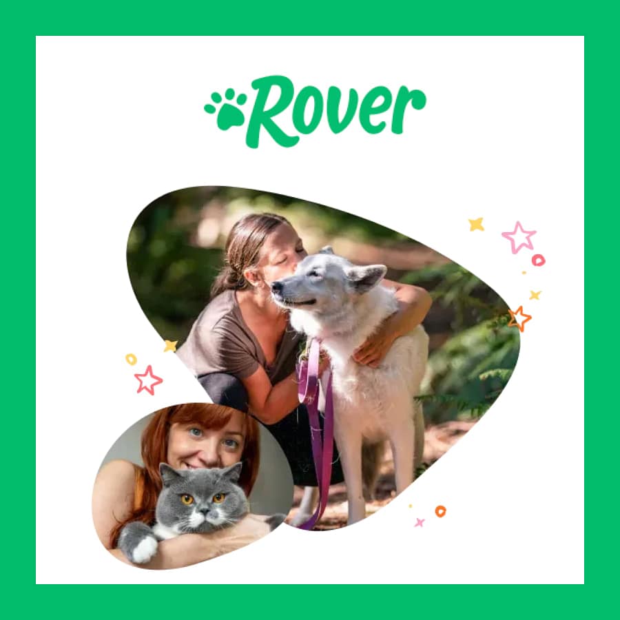 Rover Pet Sitting UK – Dog and Cat Sitters