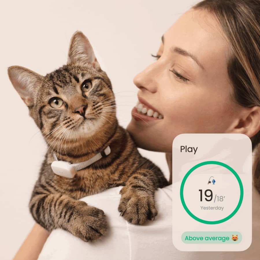 Woman smiling and holding a tabby cat wearing a Moggie.me activity tracker collar, with app showing playtime monitoring