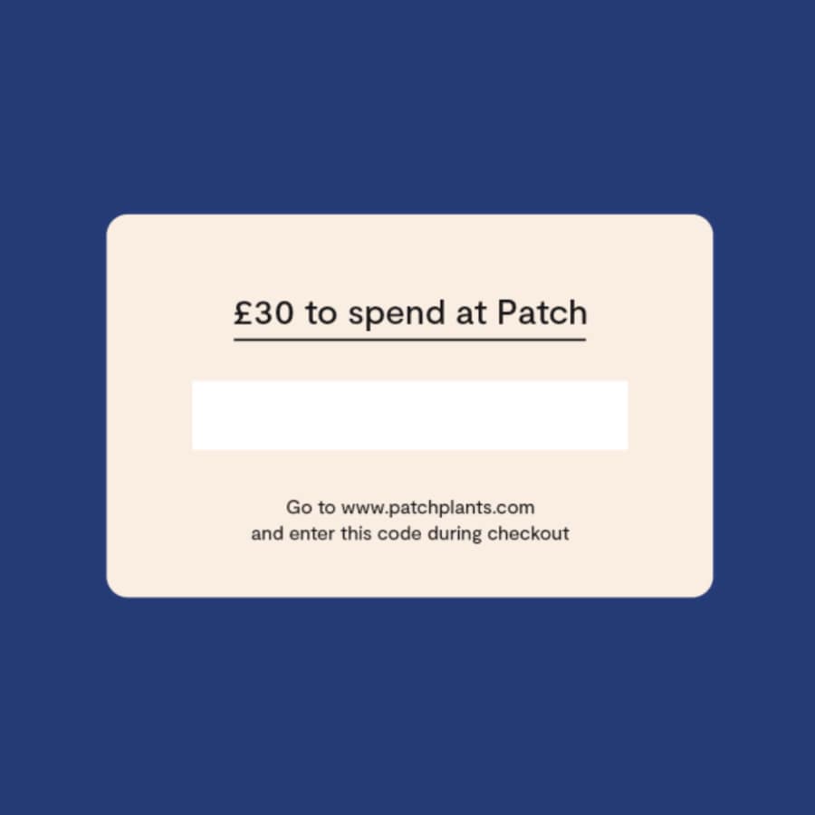 Patch Plants gift card